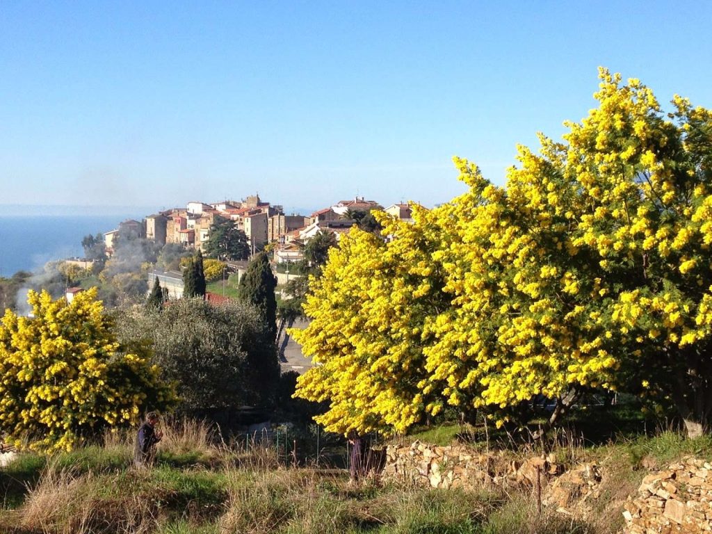 Seborga-vista