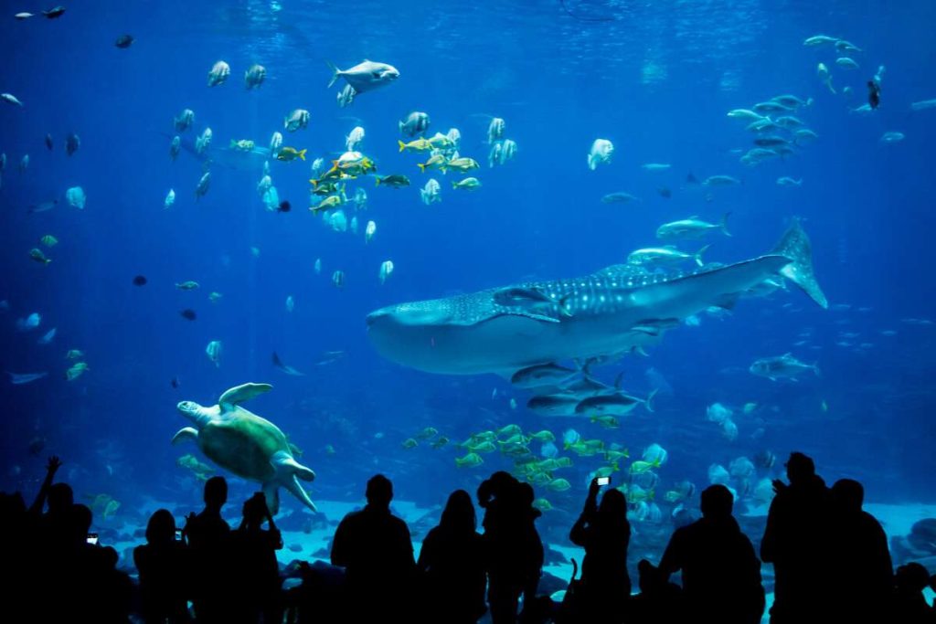 acquario-di-Genova