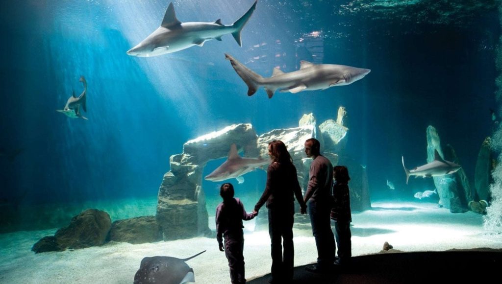 acquario-di-Genova