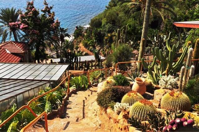giardino-esotico-pallanca