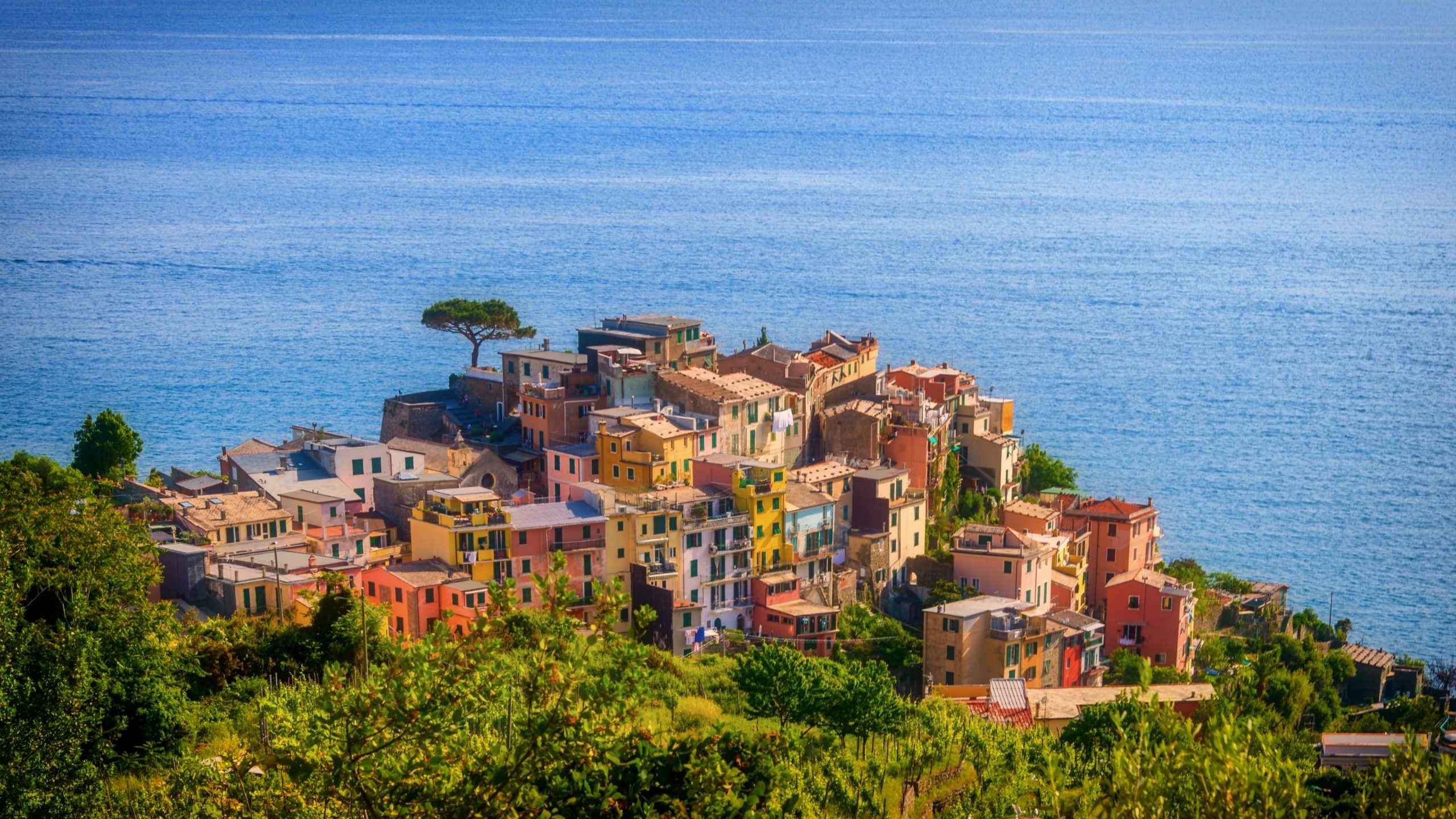 corniglia