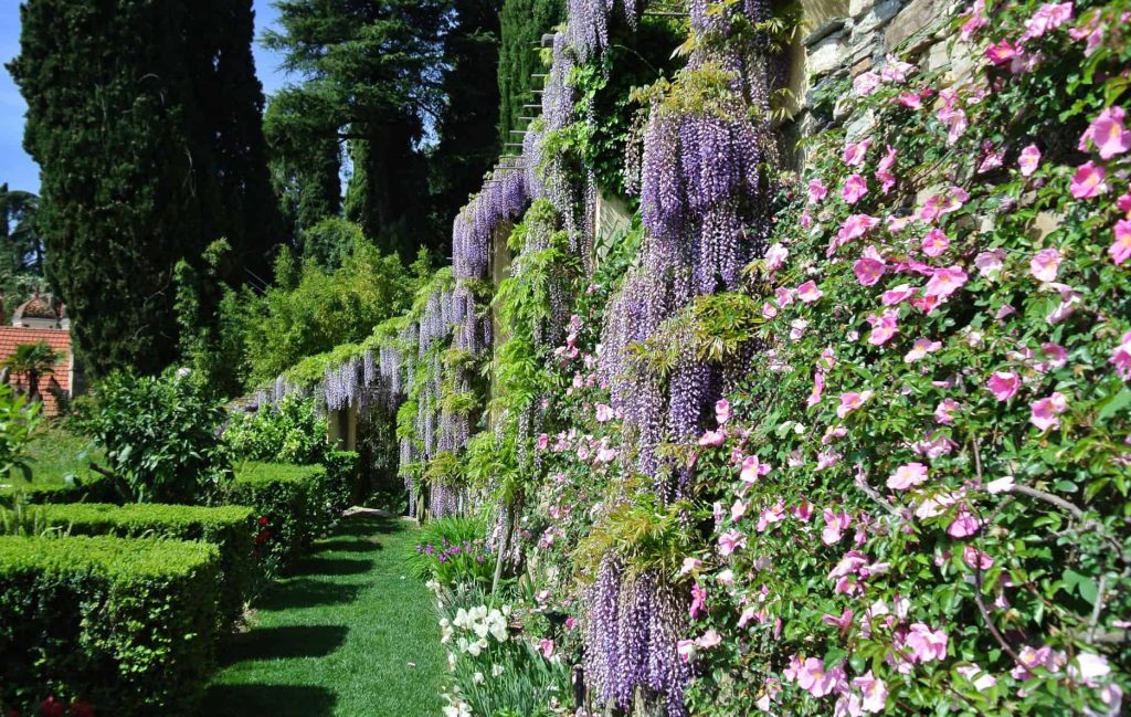 giardini-villa-pergola-alassio