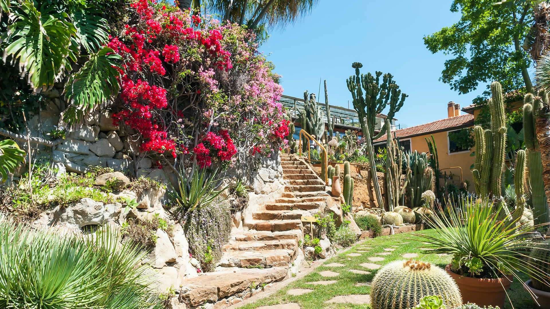 giardino-esotico-pallanca