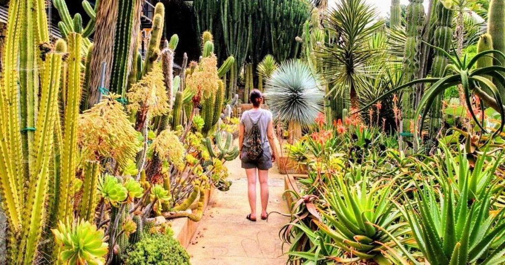giardino-esotico-pallanca