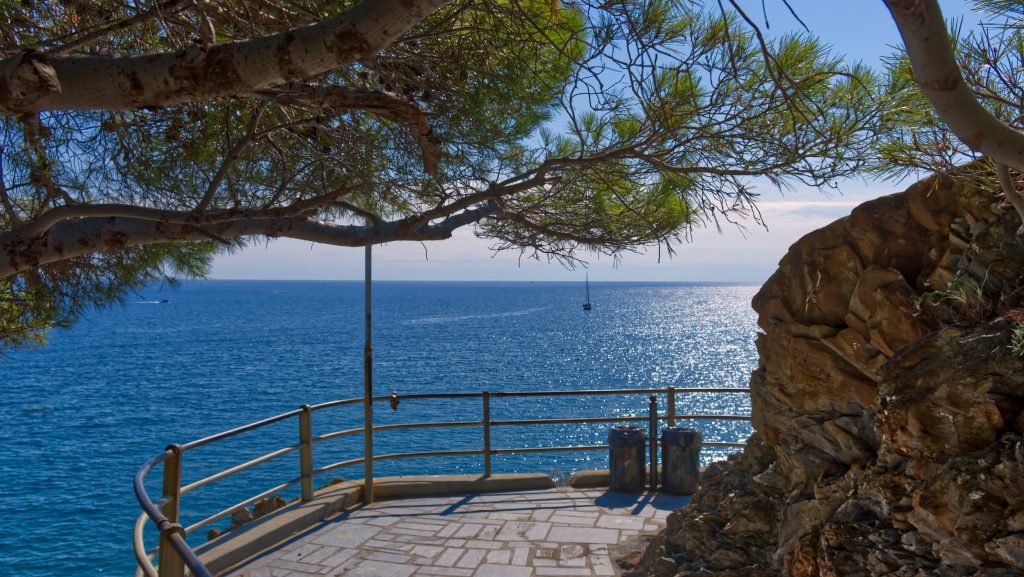 moneglia
