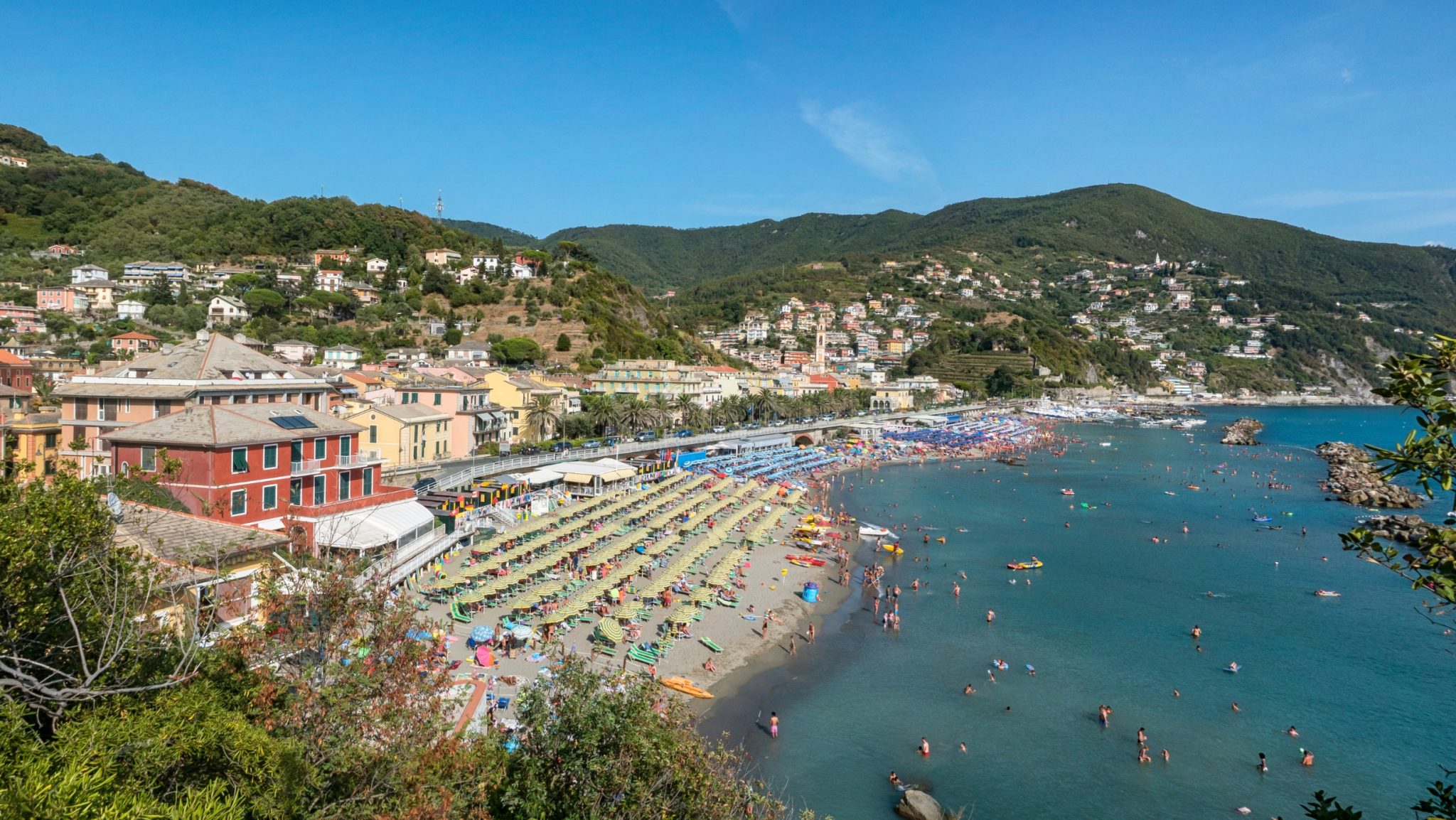 moneglia