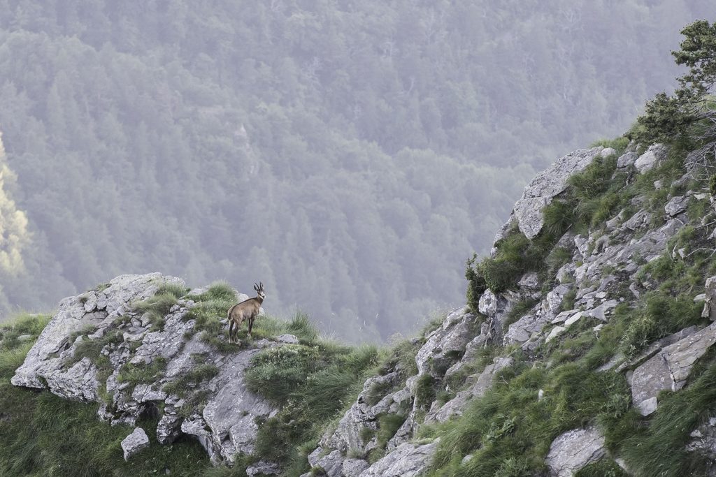 parco-alpi-liguri-triora