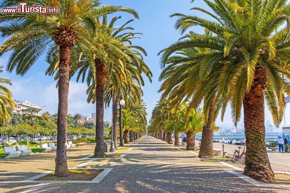 passeggiata_lungomare_con_palme_a_la_spezia_liguria