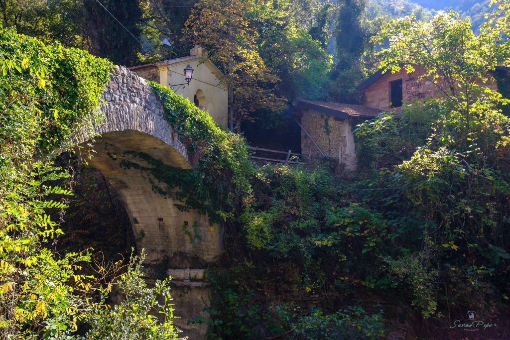 Pigna