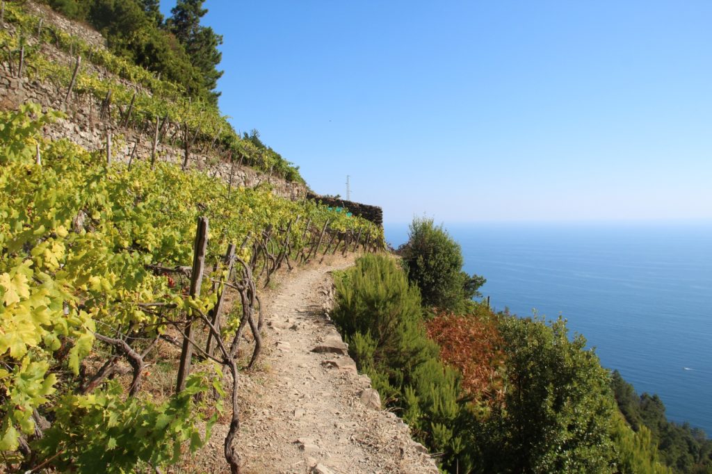 sentiero-Corniglia-Manarola
