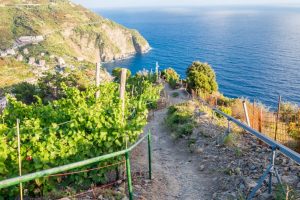 sentiero-Manarola-Riomaggiore-Via-Beccara
