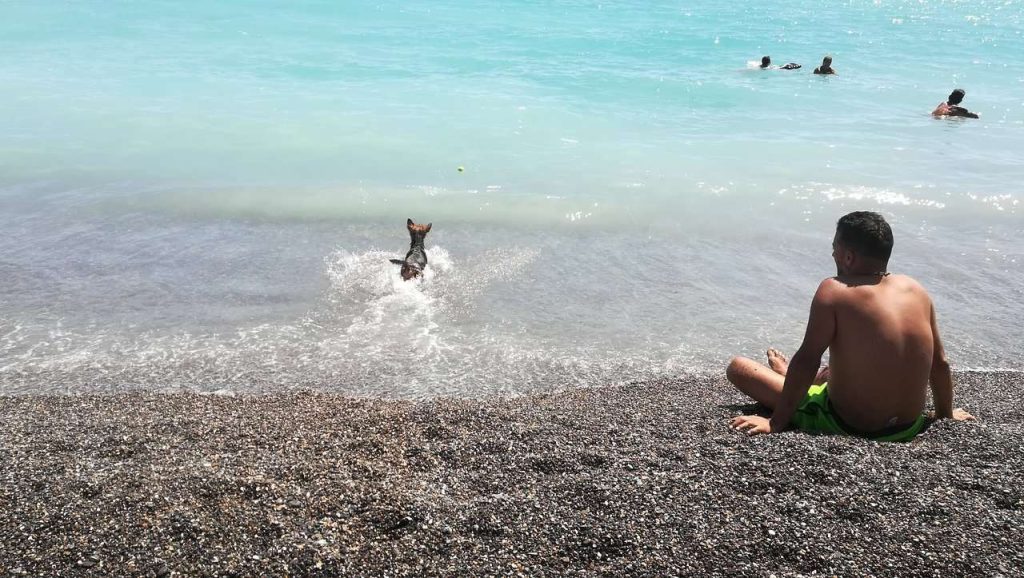 spiaggia-dei-cani